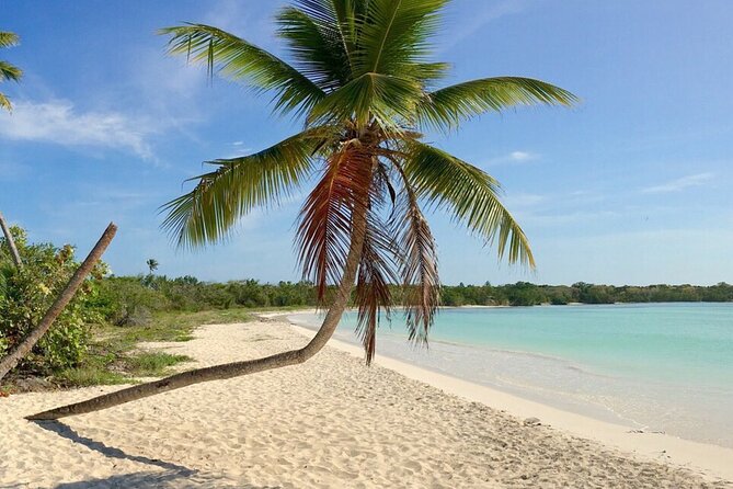 Private Boat Nature Tour of Saona Island - Participant Guidelines