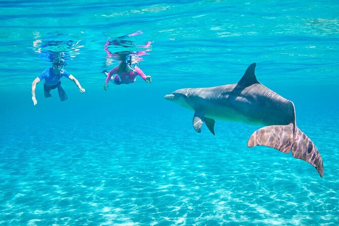 Private Boat to Dolphin House Full Day Snorkeling Sea Trip Max 10 Pax - Hurghada - Booking Process