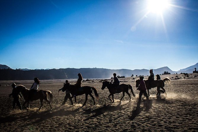 Private Bromo Sunrise Tour (All Included) - Tips for Your Trip