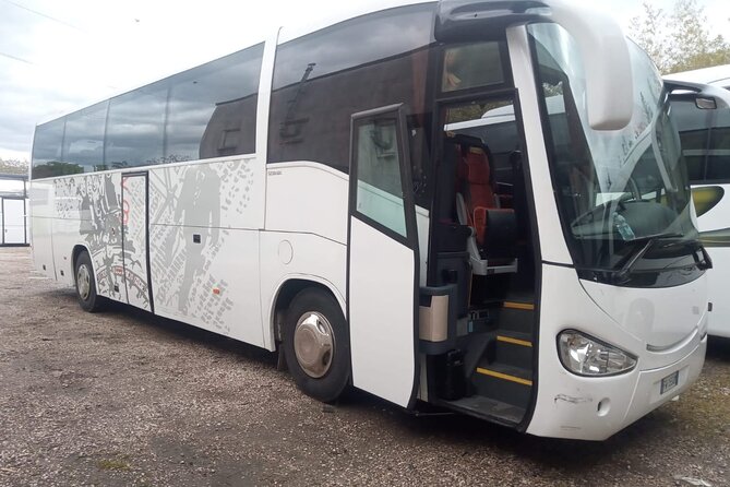Private Bus From Venice Hotels+ Water Taxi to Trieste Cruise Port - Pickup and Drop-off Locations