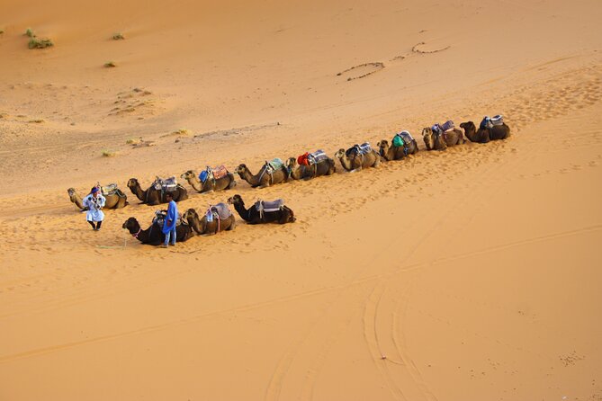 Private Camel Ride Over Erg Chebbi For Sunset Or Sunrise - Accessibility and Supervision
