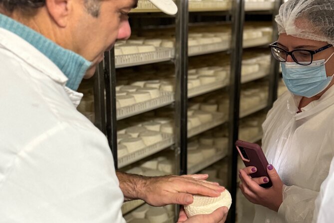 Private Cheese Factory Visit, Tile Painting and Wine Tasting Tour - Reviews and Ratings