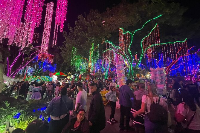 Private Christmas Lights Tour in Medellín! - Only Holiday Season! - Positive Customer Reviews