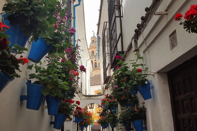 Private Córdoba Highlights Walking Tour - Reviews and Recommendations