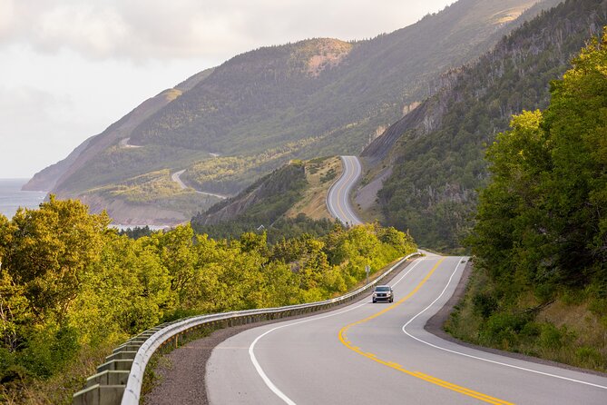Private Cruise Excursion in Cape Breton - Personalized Tour Experiences