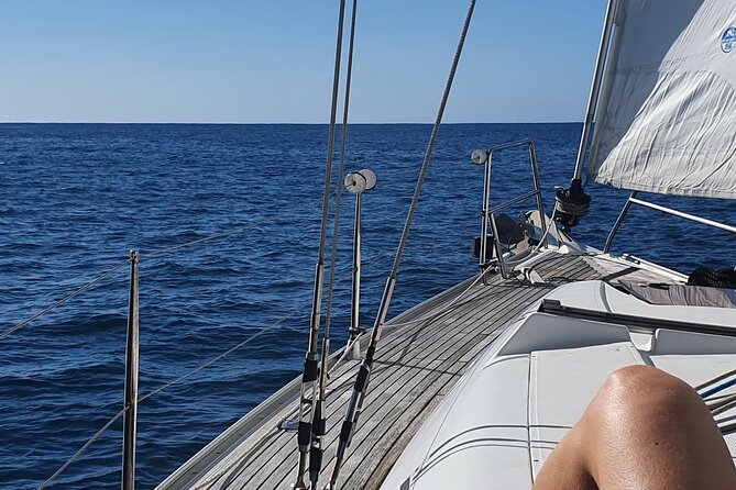 Private Cruise With Wine Tasting in Funchal Bay - Terra Bona Wine Tasting and Pairings