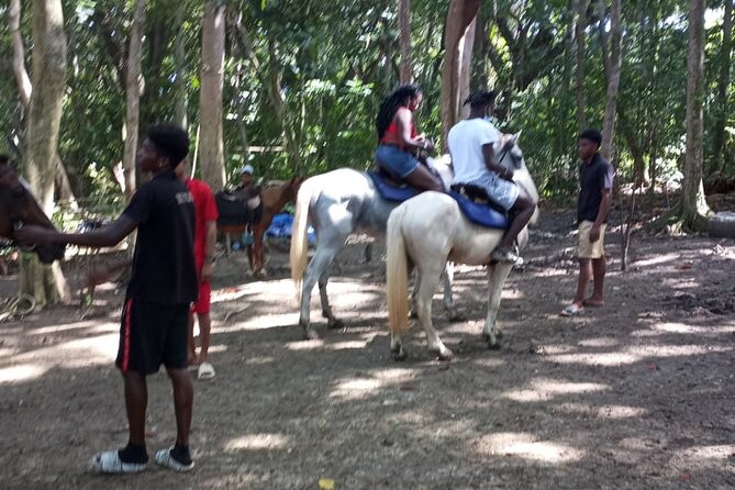 Private & Customize Tour to Martha Brae Rafting and Horseback Riding N Swim - Reviews and Feedback