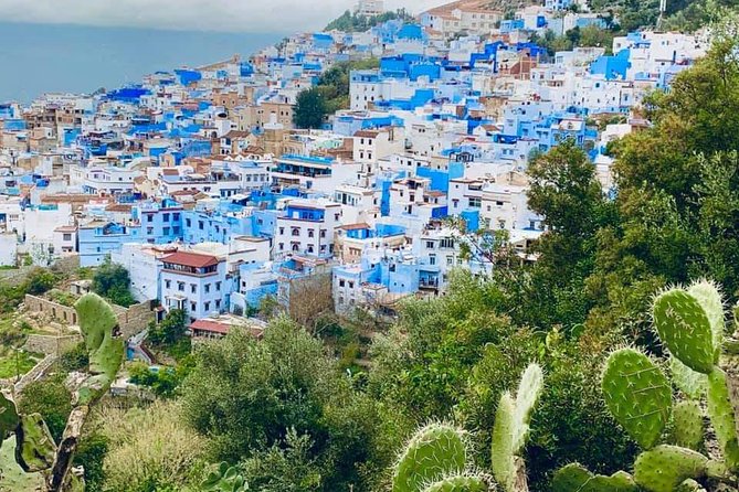 Private Day Tour to Chefchaouen From Tangier - Accessibility Features