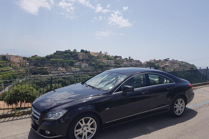 Private Day Tour to Pompei ,Winery, Sorrento From Napoli/Salerno/Amalfi/Positano - Neapolitan Lunch at Vineyard