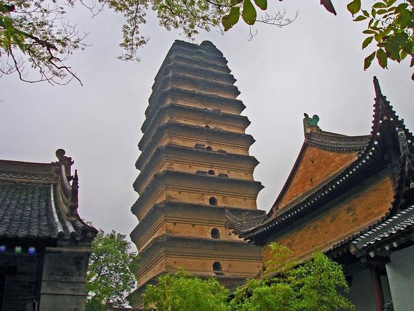 Private Day Tour to Xi an Highlights Museum - What to Expect During the Tour