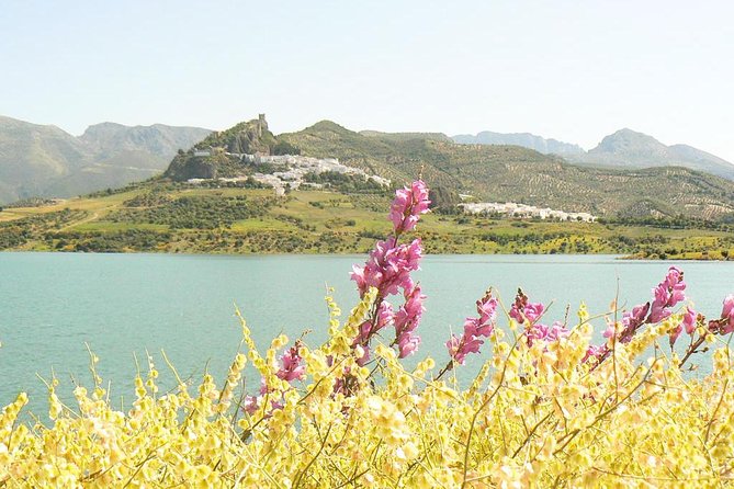 *Private Day Trip* From Jerez: the White Towns of Andalusia - Participant Information