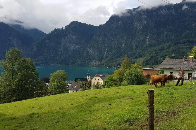 Private Day Trip From Vienna to Hallstatt - Free Time in St. Gilgen