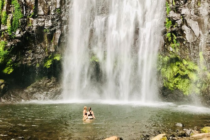 Private Day Trip to Materuni Waterfall and Coffee Tour - Coffee Tour