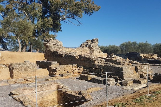 Private Day Trip to Sparta From Kalamata (Price per Group) - Tour Experience