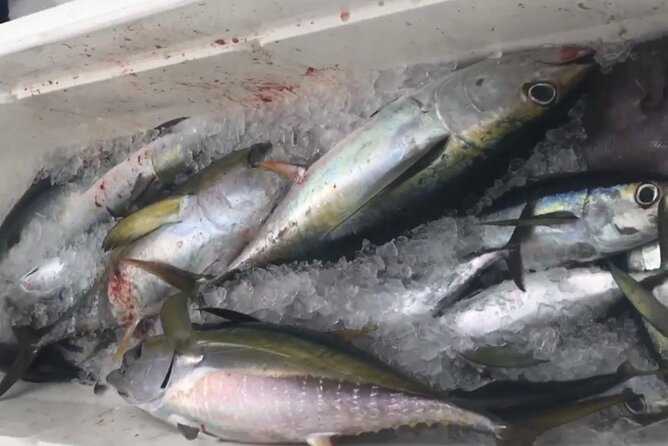 Private Deep Sea Fishing Experience in Grand Cayman - Price and Cancellation Policy