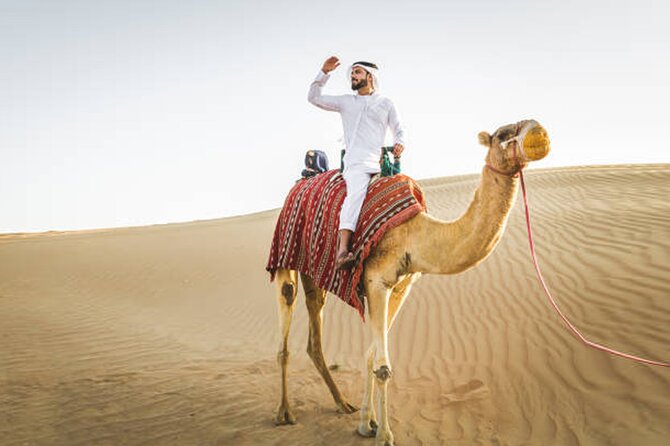 Private Desert Safari Tour in Dubai - Meeting and Pickup