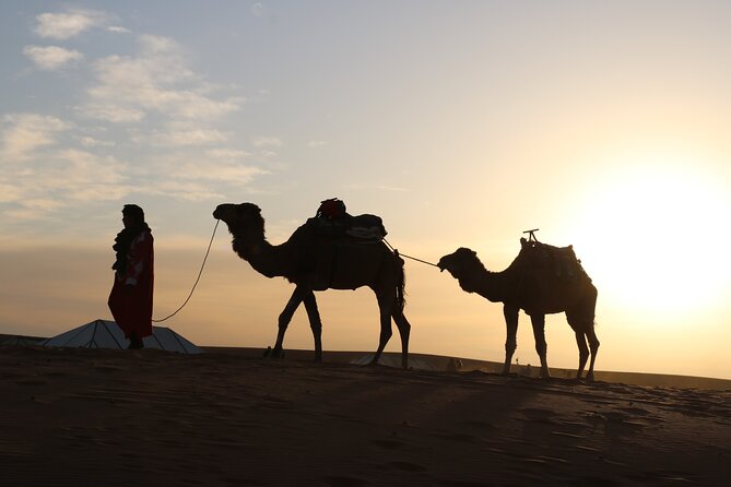 Private Desert Tour To Draa Valley And Zagora From Marrakech - Pickup and Schedule