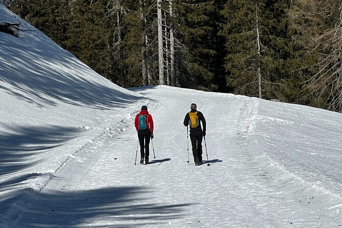 Private Dolomites Winter Day Tour From Venice - Christmas Market Visits