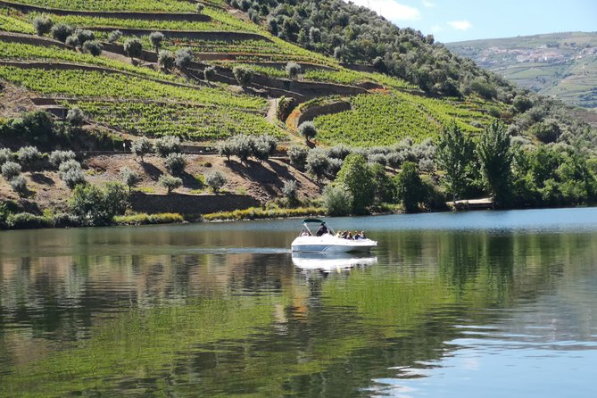 Private Douro Valley With Mercedes Convertible, Lunch / Tastings 2 Wine Estates - Lunch and Tastings