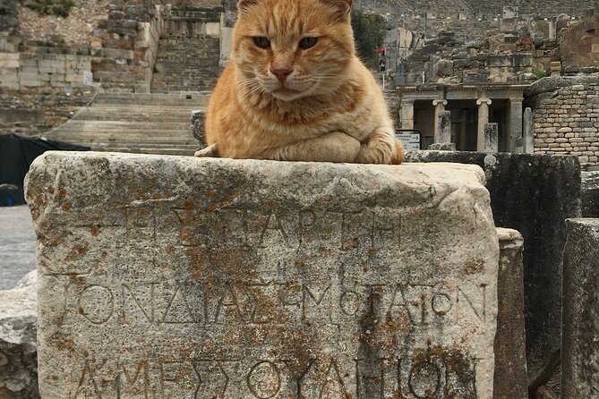 Private Ephesus Tour From İZmir ÇeşMe Port/Hotels - Pickup and Meeting Details