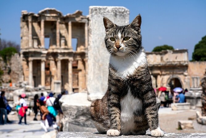 Private Ephesus Tour From Kusadasi - Traveler Experiences