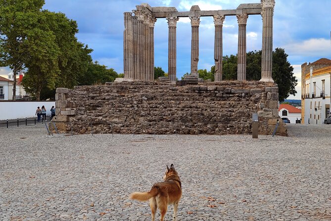 Private Évora Tour - Megaliths, Historical Center and Cork Region - Confirmation and Cancellation