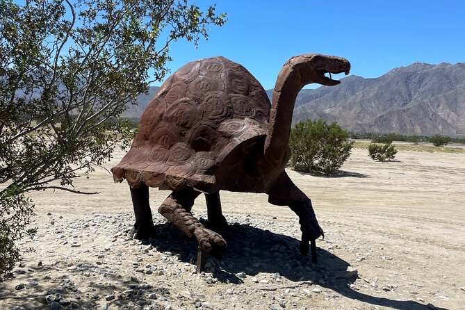 Private Expedition to Anza-Borrego State Park - Participant Requirements and Accessibility