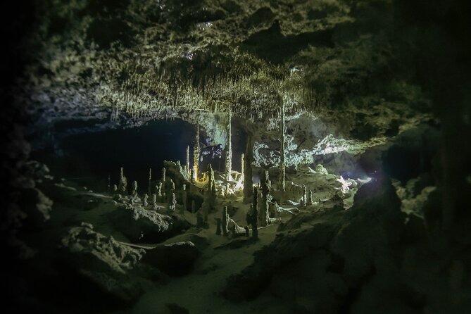 Private Full-Day Cenote Diving Experience 2 Dives With Lunch - Schedule and Availability