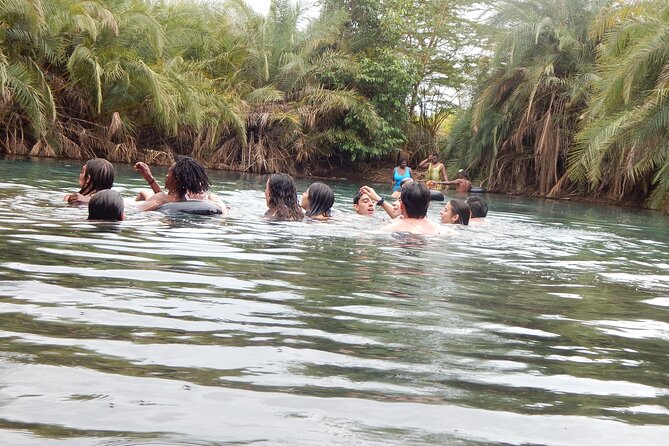 Private Full-Day Materuni Waterfall, Coffee and Hot-spring Tour in Moshi - Whats Not Included