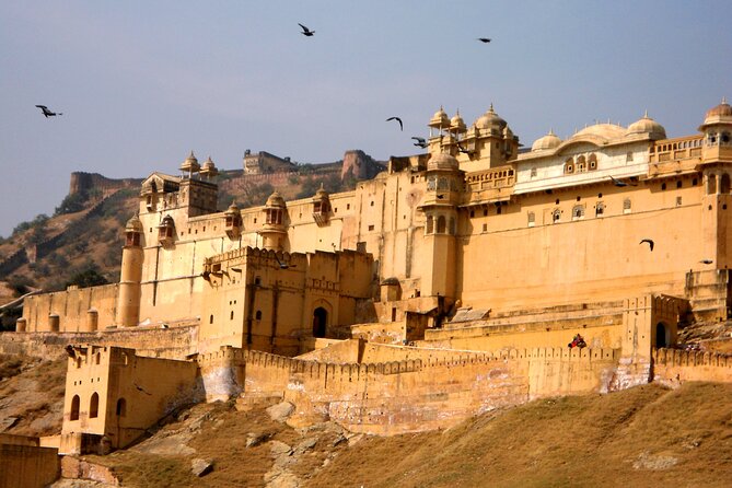 Private Full Day Tour of Jaipur - Reviews and Ratings