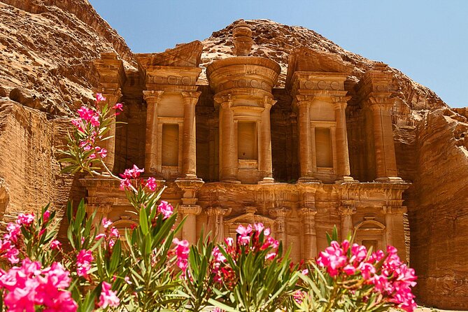 Private Full-Day Trip To Petra And Wadi Rum - Transportation and Amenities