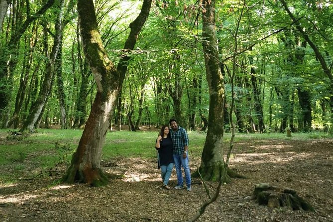 Private Gabala Tour (Full-Day Tour) - Private Pickup and Drop-off