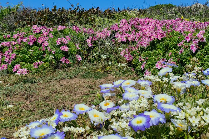 Private Garden Tour in Central Coast of Chile With Lunch Included - Tour Highlights and Feedback