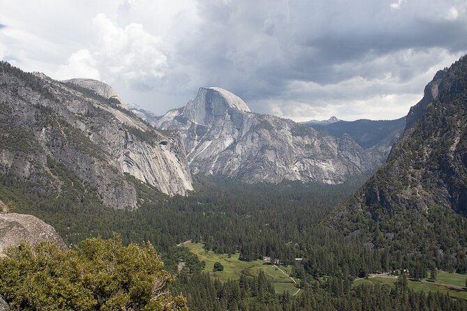 Private Giant Sequoia Grove Hike - Supporting Youth Programs