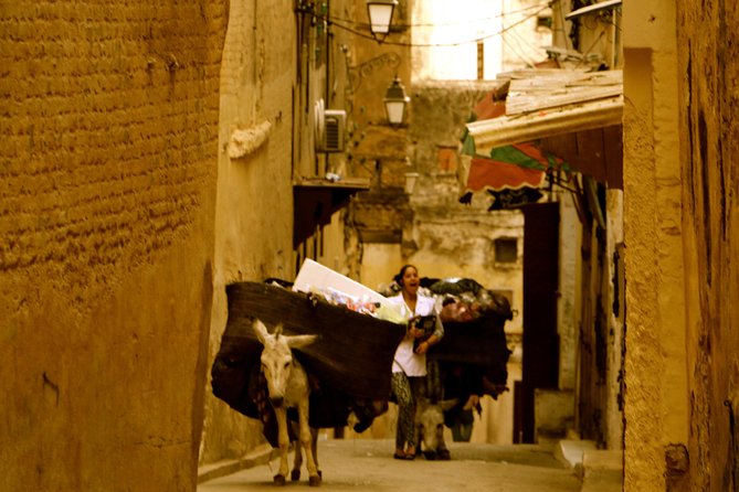 Private Guided Full-Day Tour of Fez - Important Notes and Recommendations