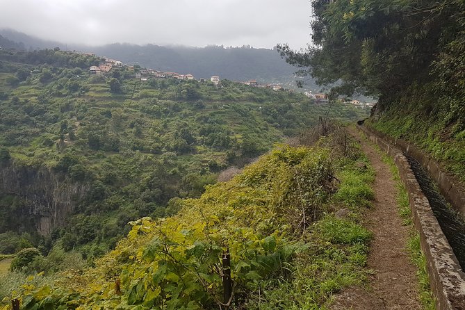 Private Guided Walk Levada Castelejo - Accessibility Considerations
