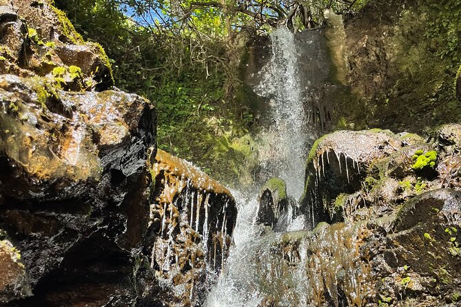 Private Guided Waterfall Hike Rainforest Adventure - Guest Experiences