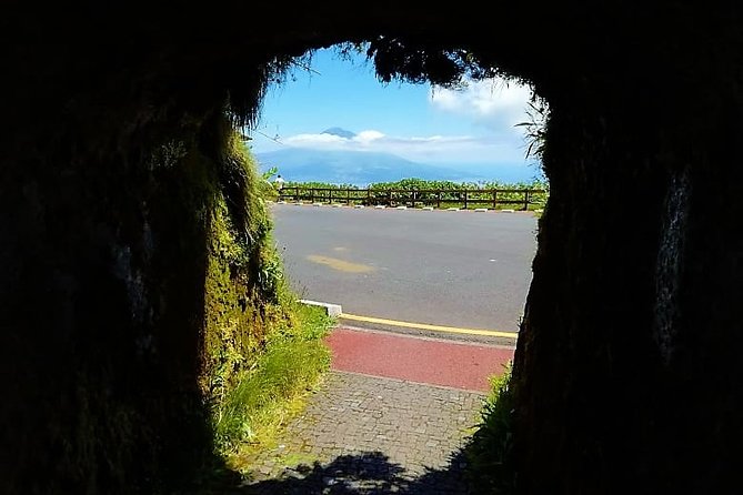 Private Half Day Tour - Faial Island (Up to 8 People) - Accessibility