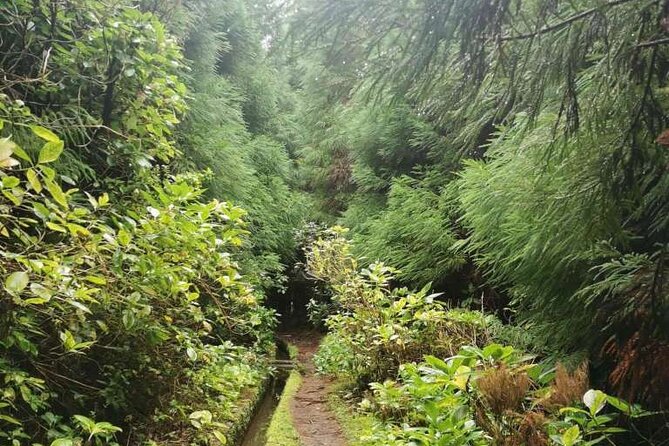 Private Hike Along the Levada - Pickup and Drop-off Details