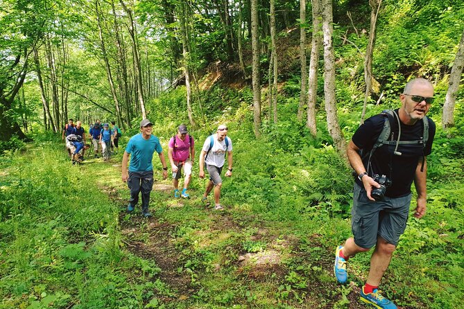 Private Hiking Tour to Machakhela National Park From Batumi - Pickup and Schedule