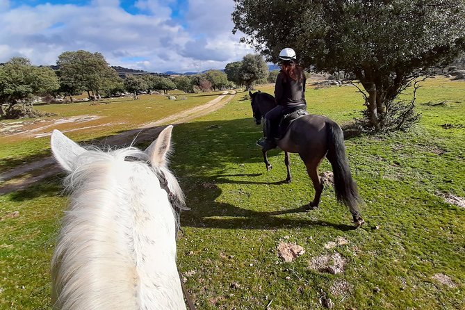 Private Horse Ride in Madrid Natural Park Reserve - Health and Safety Information
