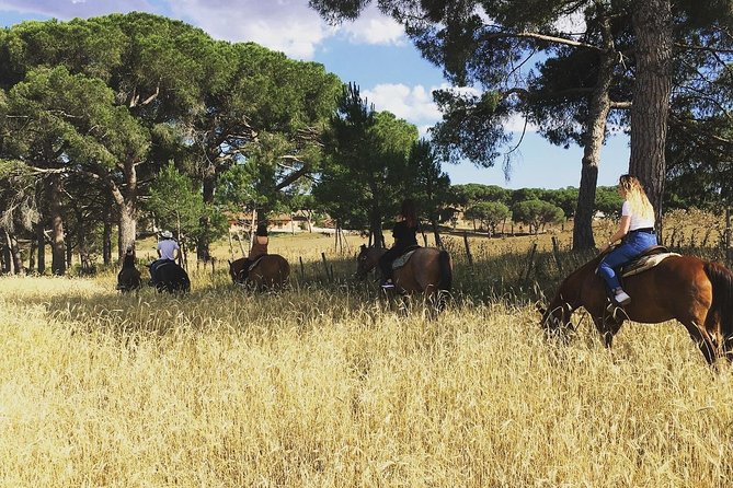 Private Horse Ride in the Veio Park in Rome - Highlights of the Horse Riding Adventure