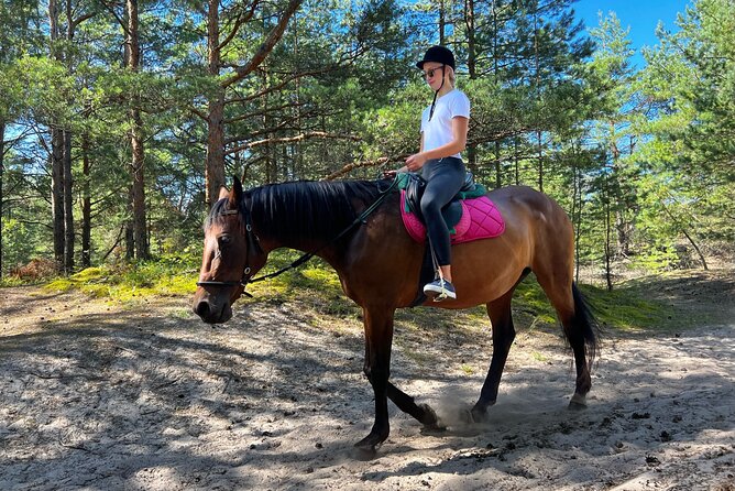 Private Horse Riding on the Beach in Riga - Accessibility and Logistics