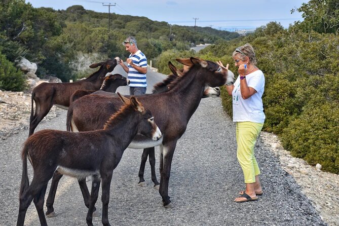 PRIVATE KARPAZ TOUR From Nicosia - Highlights of the Karpaz Peninsula
