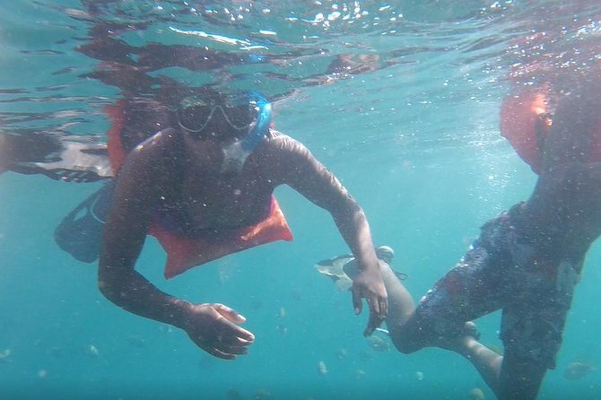 Private Los Arcos Snorkeling - Accessibility