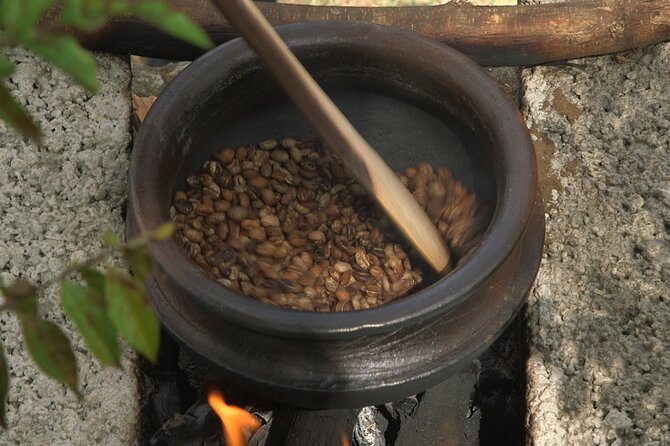 Private Meru Coffee Tour in Nkoaranga - Freshly Brewed Coffee Tasting Experience