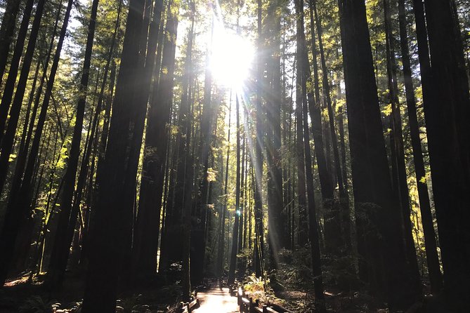 Private Muir Woods and Sausalito Half Day Tour - Booking and Cancellation