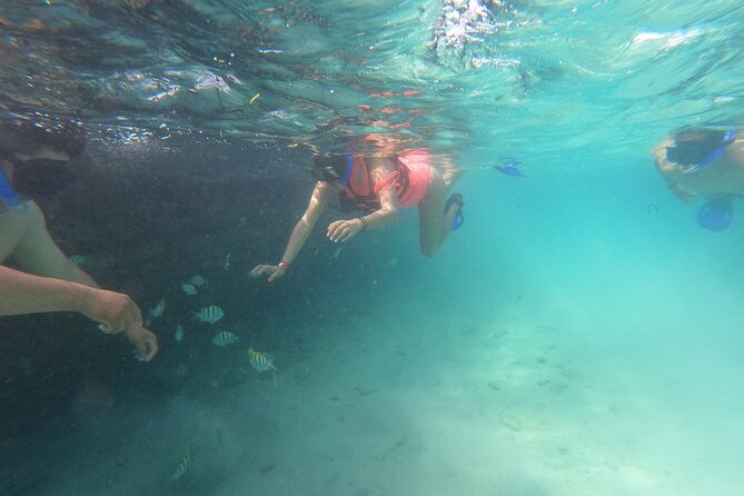 Private MUSA Snorkeling Experience at Isla Mujeres and Cancun - Meeting and Pickup