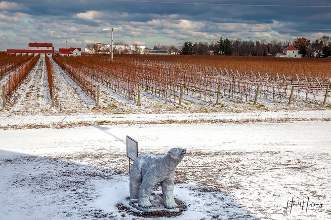 Private Niagara Ice Wine Tour - Booking Information