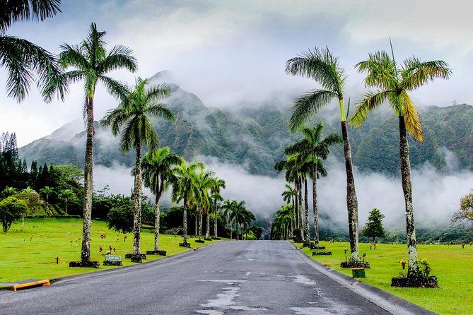 Private Oahu Van Tour - Tips for Your Tour